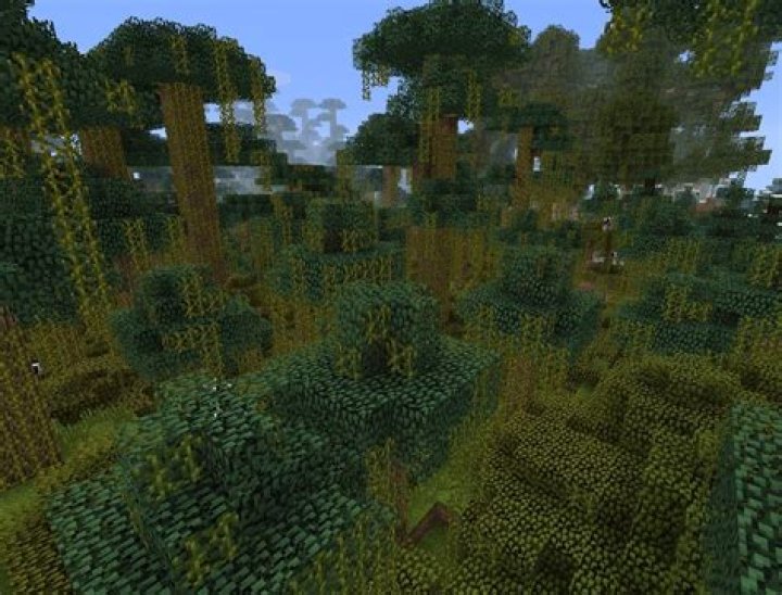 How to find jungle biome in minecraft