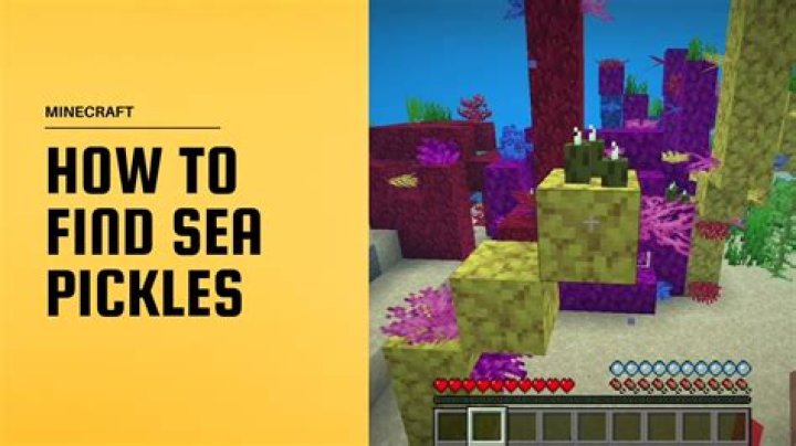 How to find sea pickles in minecraft