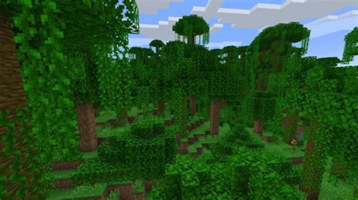 How to find the jungle in minecraft