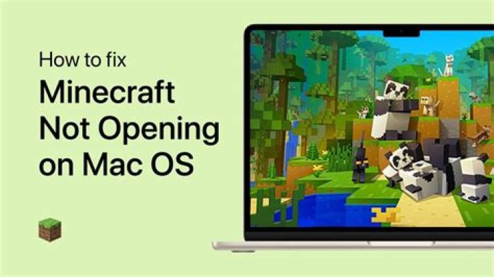How to fix minecraft not opening