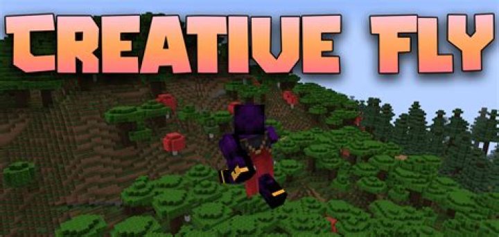 How to fly in minecraft server