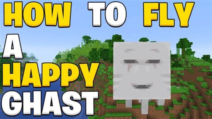 How to fly on minecraft servers