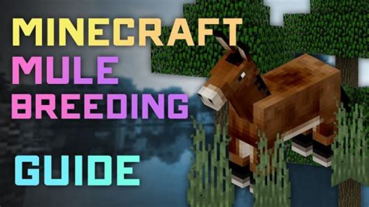 How to get a mule in minecraft