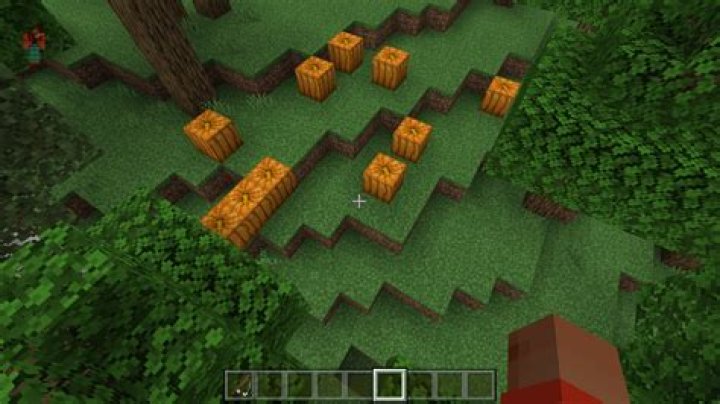 How to get a pumpkin in minecraft