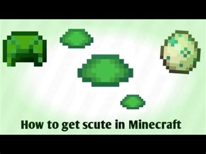 How to get a scute in minecraft