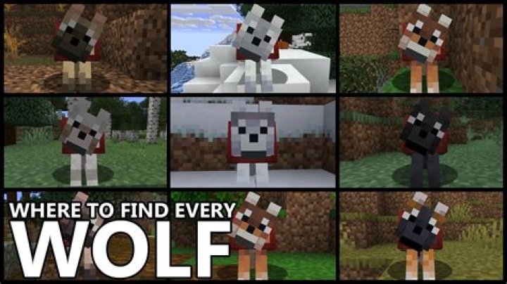 How to get a wolf in minecraft