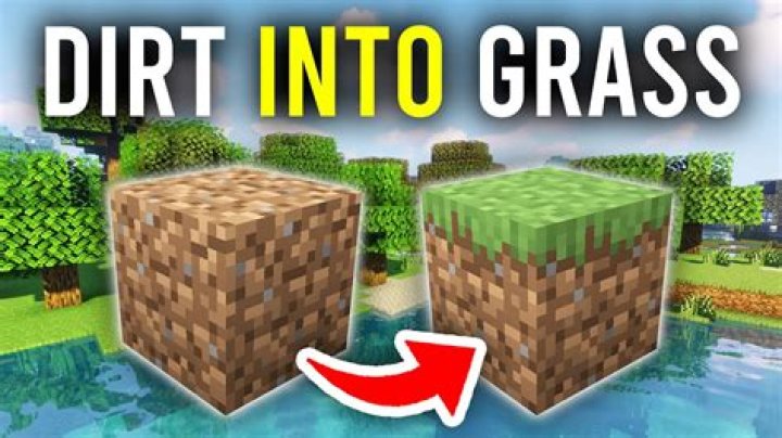 How to get beets in minecraft