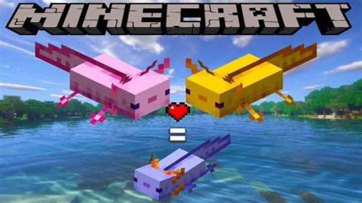 How to get blue axolotl in minecraft