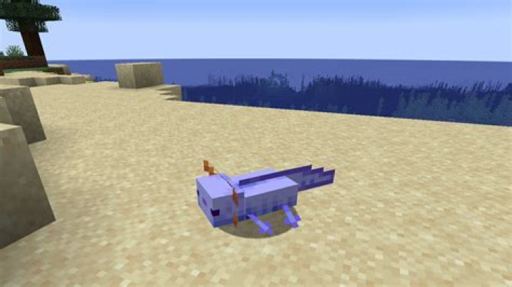 How to get blue axolotl minecraft bedrock