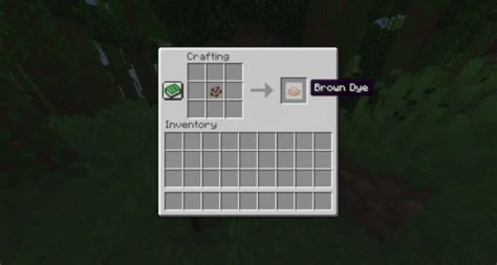 How to get brown dye in minecraft