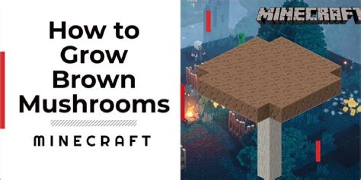 How to get brown mushrooms in minecraft