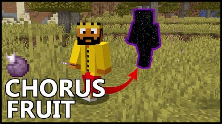 How to get chorus fruit in minecraft