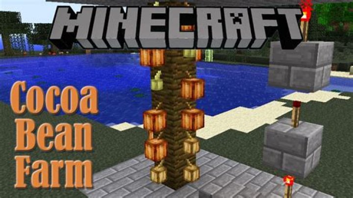 How to get cocoa beans in minecraft