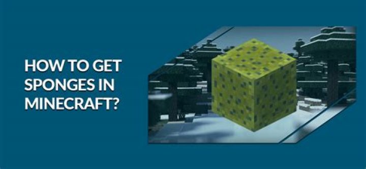 How to get dry sponge in minecraft