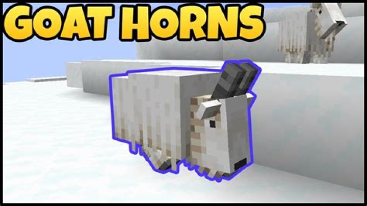 How to get goat horns in minecraft