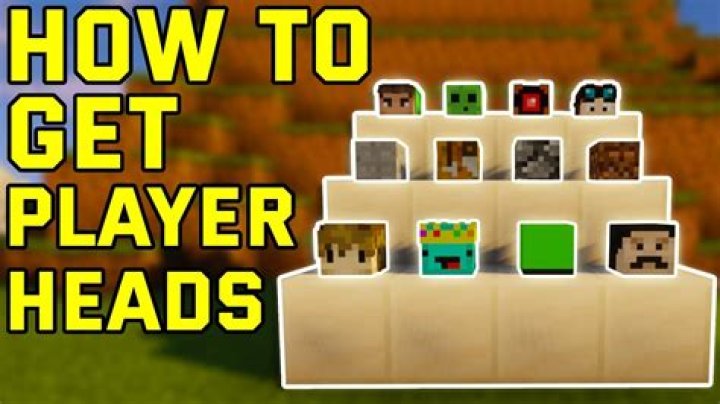 How to get heads in minecraft 1.10