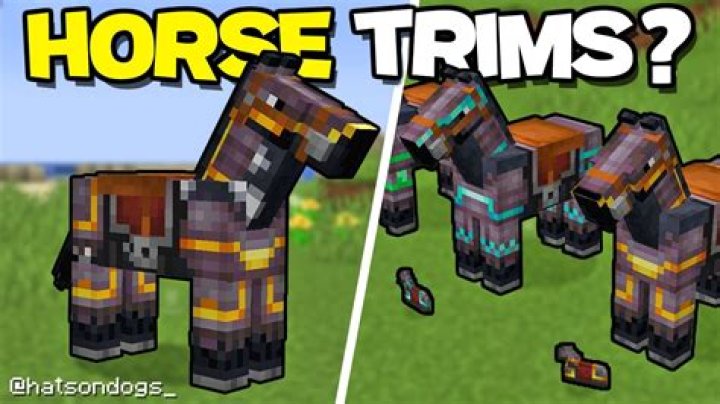 How to get horse armor in minecraft