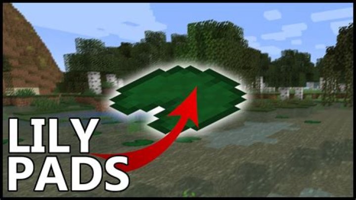 How to get lily pads in minecraft