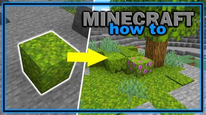 How to get moss blocks in minecraft