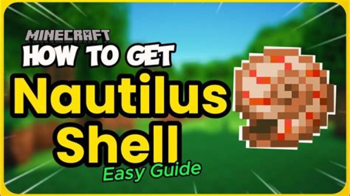 How to get nautilus shells in minecraft