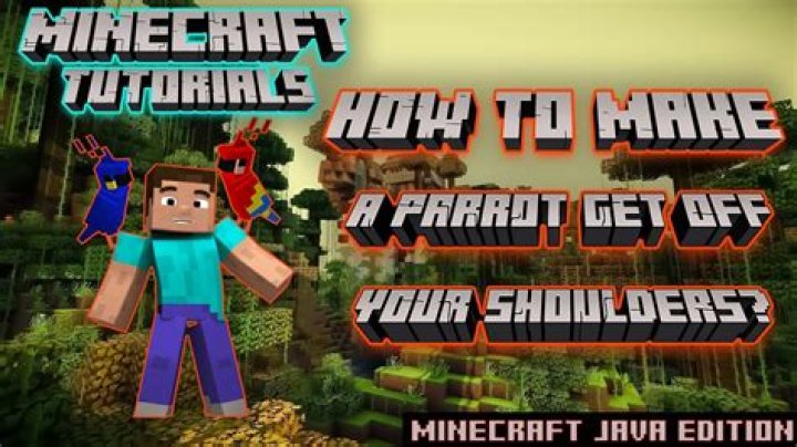 How to get parrot off shoulder minecraft