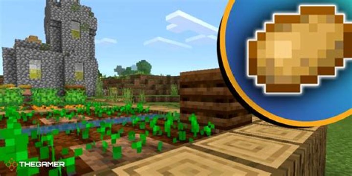 How to get potato seeds in minecraft