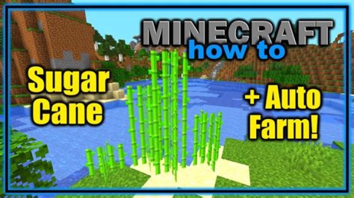 How to get sugar cane in minecraft