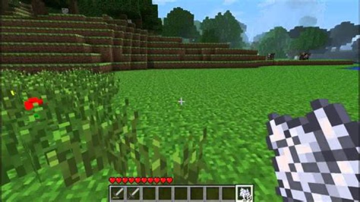 How to get tall grass in minecraft