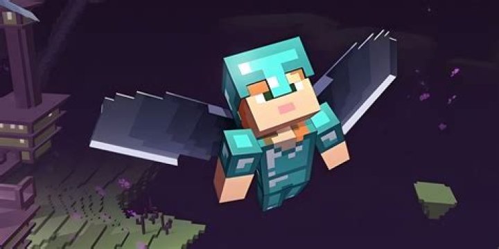 How to get the elytra in minecraft