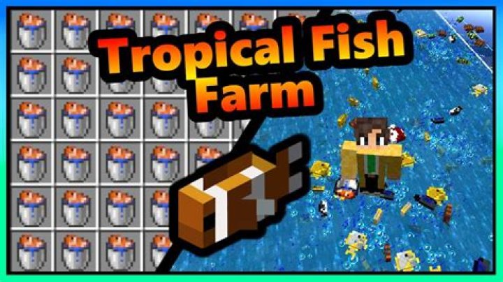 How to get tropical fish in minecraft