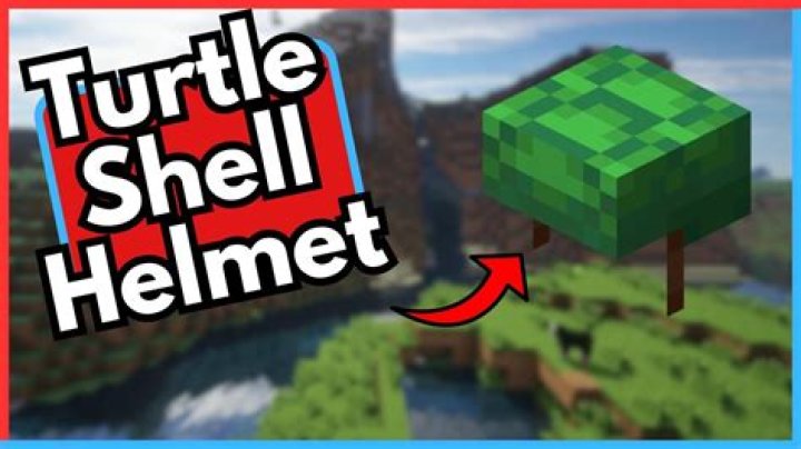 How to get turtle helmet in minecraft