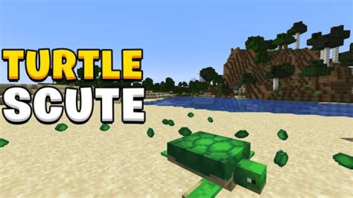 How to get turtle scutes in minecraft