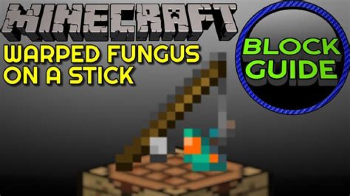 How to get warped fungus in minecraft