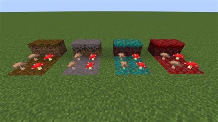 How to grow a mushroom in minecraft