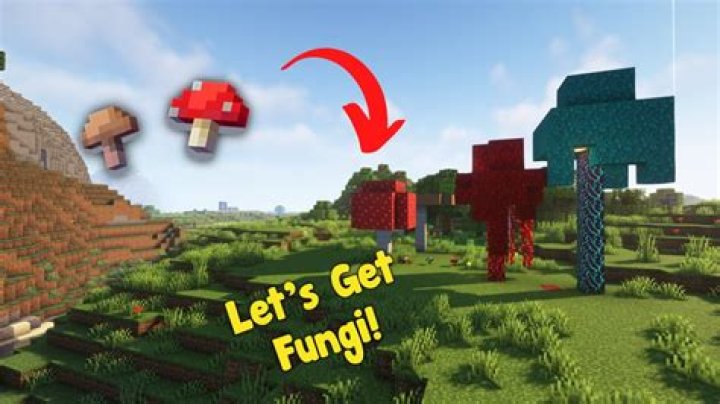 How to grow a mushroom minecraft
