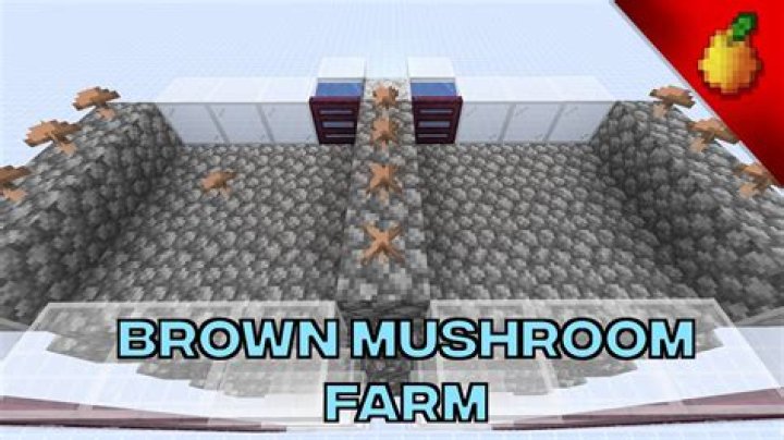 How to grow brown mushrooms in minecraft
