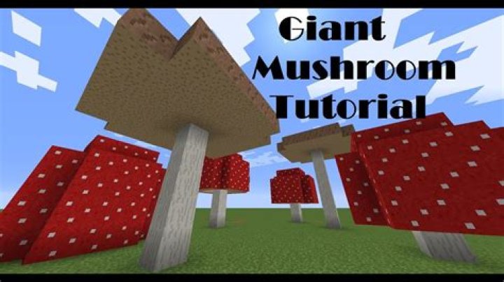 How to grow giant mushrooms in minecraft
