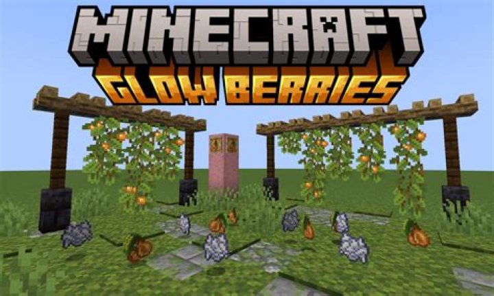 How to grow glow berries in minecraft