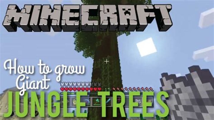 How to grow jungle trees in minecraft