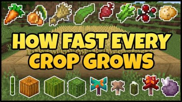 How to grow stuff in minecraft