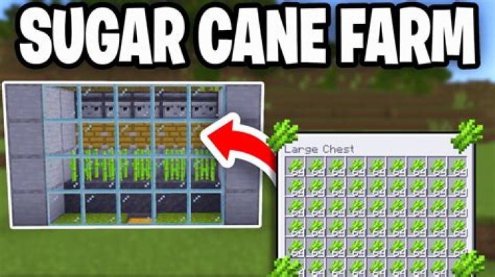 How to grow sugar cane minecraft pe