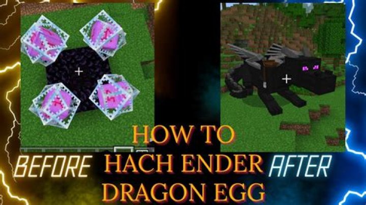 How to hatch a dragon in minecraft