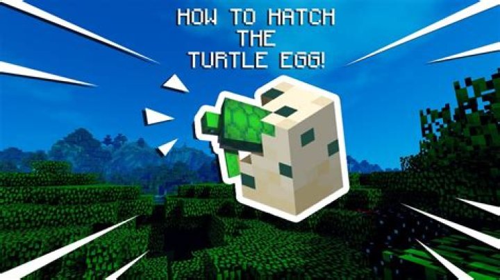 How to hatch an egg in minecraft