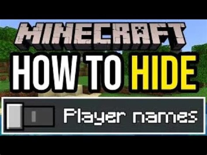 How to hide name tags in minecraft