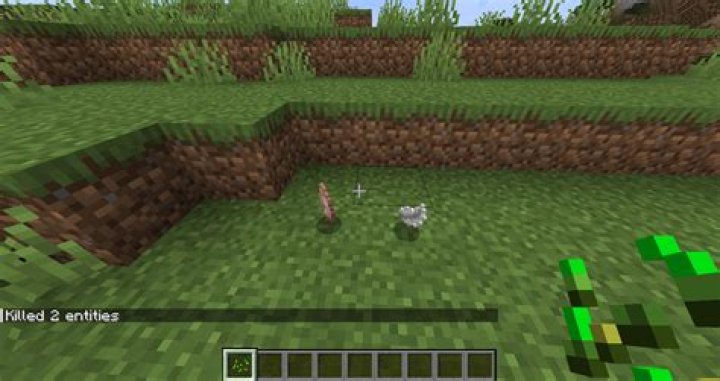 How to kill all slimes in minecraft