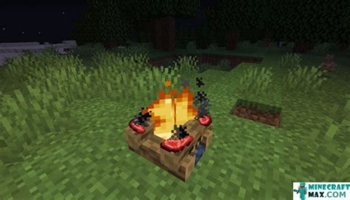 How to make a bonfire in minecraft