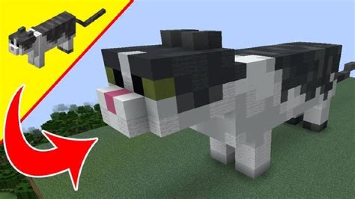 How to make a cat in minecraft