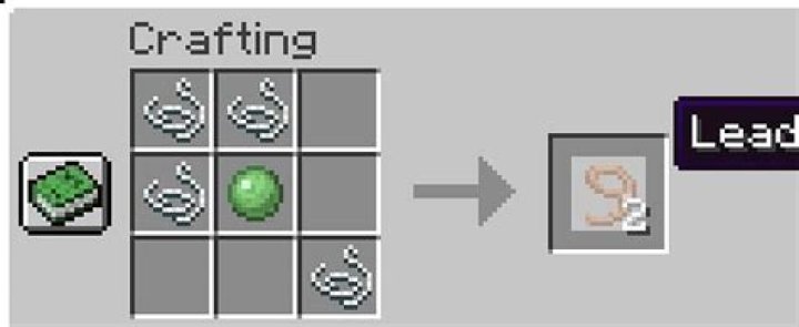 How to make a lasso in minecraft