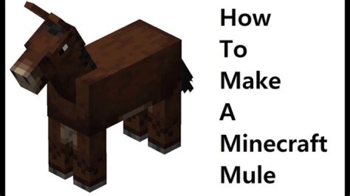 How to make a mule in minecraft