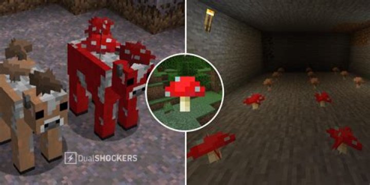 How to make a mushroom in minecraft